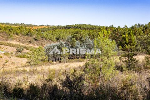 Helårsgrund i Castelo Branco, Castelo Branco, Castelo Branco - € 29.500 | Ref: PP4610 - foto 16