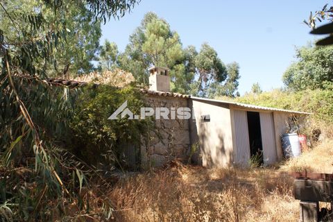 Helårsgrund i Castelo Branco, Castelo Branco, Castelo Branco - € 47.500 | Ref: PP4589 - foto 1