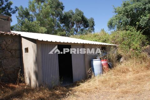 Helårsgrund i Castelo Branco, Castelo Branco, Castelo Branco - € 47.500 | Ref: PP4589 - foto 10