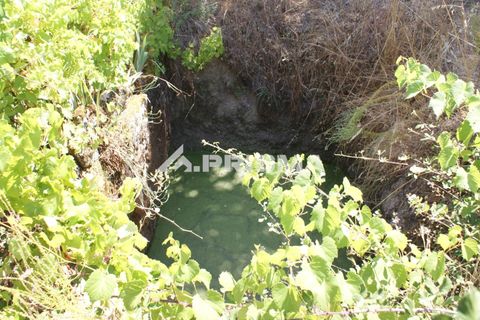Helårsgrund i Castelo Branco, Castelo Branco, Castelo Branco - € 47.500 | Ref: PP4589 - foto 17