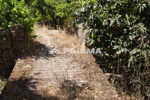 Helårsgrund i Castelo Branco, Castelo Branco, Castelo Branco - € 47.500 | Ref: PP4589 - foto 33