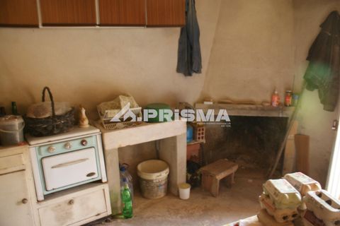 Helårsgrund i Castelo Branco, Castelo Branco, Castelo Branco - € 47.500 | Ref: PP4589 - foto 40