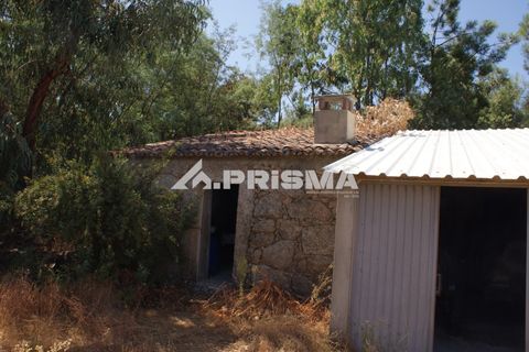 Helårsgrund i Castelo Branco, Castelo Branco, Castelo Branco - € 47.500 | Ref: PP4589 - foto 42