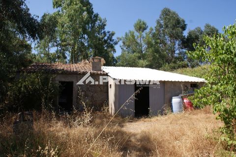 Helårsgrund i Castelo Branco, Castelo Branco, Castelo Branco - € 47.500 | Ref: PP4589 - foto 43