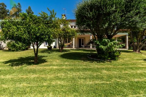 Villa i Ponte de Lima, Viana do Castelo, Ponte de Lima - € 450.000 | Ref: PTL-016-025 - foto 2