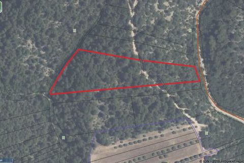 Terra a Brunet, Alpes-de-Haute-Provence, Brunet - € 12.000 | Ref: 3558 - foto 8