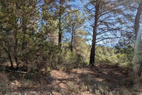 Terra a Brunet, Alpes-de-Haute-Provence, Brunet - € 12.000 | Ref: 3558 - foto 2