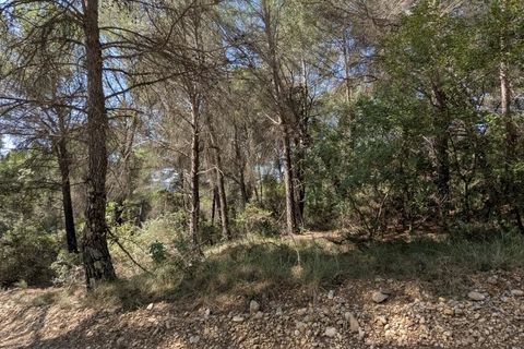 Terra a Brunet, Alpes-de-Haute-Provence, Brunet - € 12.000 | Ref: 3558 - foto 4