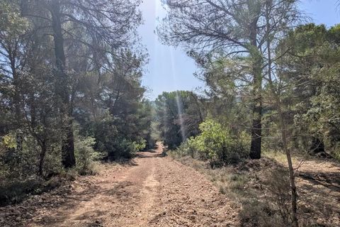 Terra a Brunet, Alpes-de-Haute-Provence, Brunet - € 12.000 | Ref: 3558 - foto 5