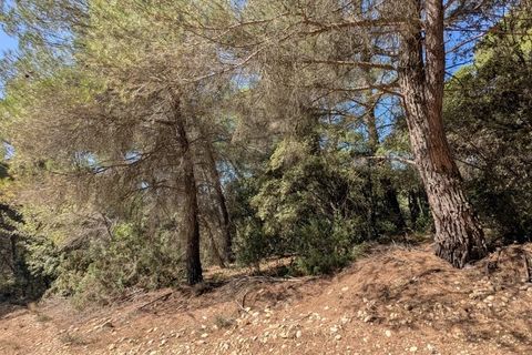 Terra a Brunet, Alpes-de-Haute-Provence, Brunet - € 12.000 | Ref: 3558 - foto 6