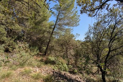 Terra a Brunet, Alpes-de-Haute-Provence, Brunet - € 12.000 | Ref: 3558 - foto 7