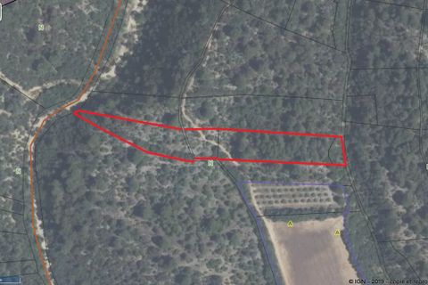 Terra a Brunet, Alpes-de-Haute-Provence, Brunet - € 7.000 | Ref: 86141740 - foto 5