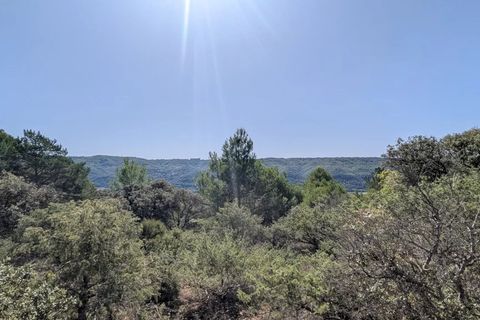 Terra a Brunet, Alpes-de-Haute-Provence, Brunet - € 7.000 | Ref: 86141740 - foto 2