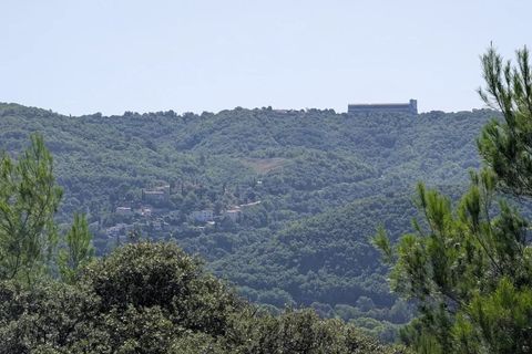 Terra a Brunet, Alpes-de-Haute-Provence, Brunet - € 7.000 | Ref: 86141740 - foto 3