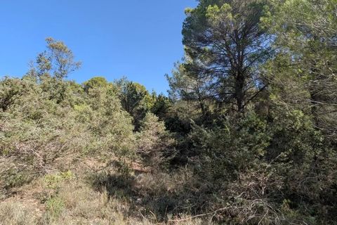 Terra a Brunet, Alpes-de-Haute-Provence, Brunet - € 7.000 | Ref: 86141740 - foto 6