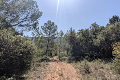 Terra a Brunet, Alpes-de-Haute-Provence, Brunet - € 7.000 | Ref: 86141740 - foto 7