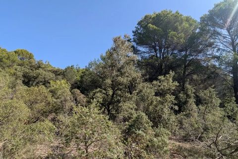Terra a Brunet, Alpes-de-Haute-Provence, Brunet - € 7.000 | Ref: 86141740 - foto 10