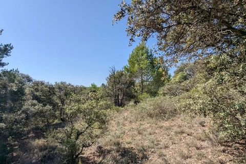 Terra a Brunet, Alpes-de-Haute-Provence, Brunet - € 7.000 | Ref: 86141740 - foto 11