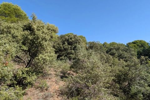Terra a Brunet, Alpes-de-Haute-Provence, Brunet - € 7.000 | Ref: 86141740 - foto 12
