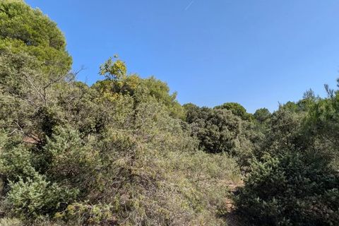 Terra a Brunet, Alpes-de-Haute-Provence, Brunet - € 7.000 | Ref: 86141740 - foto 13