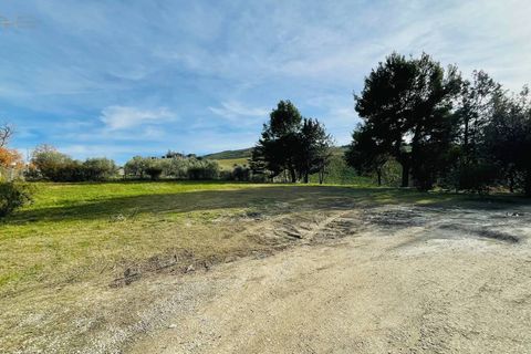 Landejendom i Ancarano, Teramo, Ancarano - € 225.000 | Ref: 33265 - foto 22