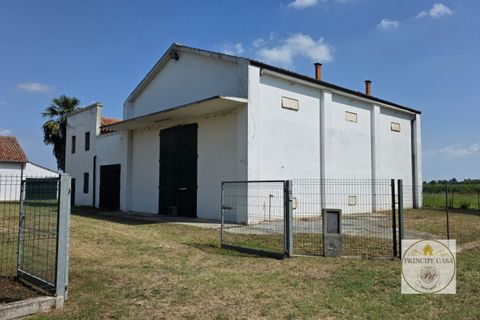 Landejendom i Agna, Padua, Agna - € 255.000 | Ref: Ruzt3 - foto 26