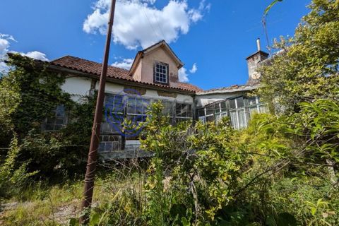 Byhus i Viseu, Viseu, Viseu - € 170.000 | Ref: 1107301 - foto 4