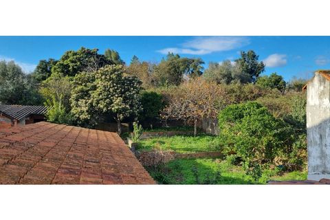 Villa a Gaviao, Portalegre, Gaviao - € 100.000 | Ref: 6468 - foto 23