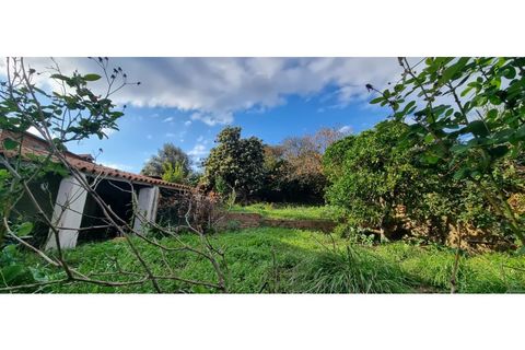 Villa a Gaviao, Portalegre, Gaviao - € 100.000 | Ref: 6468 - foto 25