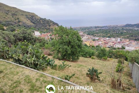 Terra a Pagliara, Messina, Pagliara - € 13.000 | Ref: UPV-1190 - foto 3
