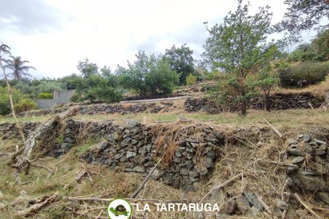 Terra a Pagliara, Messina, Pagliara - € 13.000 | Ref: UPV-1190 - foto 4