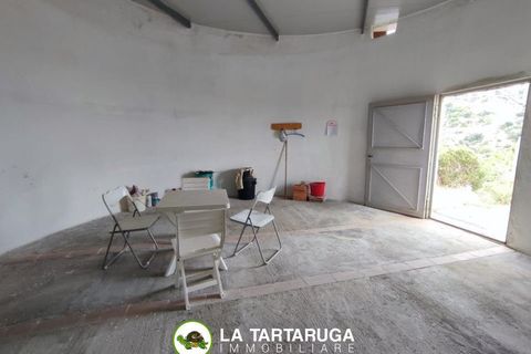 Terra a Pagliara, Messina, Pagliara - € 13.000 | Ref: UPV-1190 - foto 7
