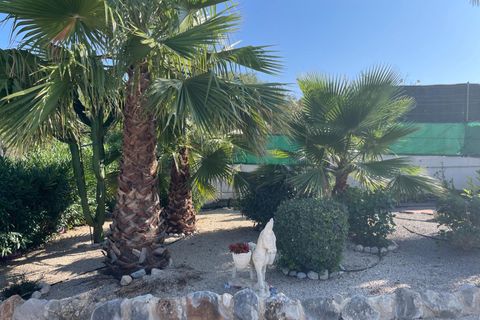 Landejendom i Peniscola, Castellon, Peniscola - € 193.000 | Ref: EXP10832/8930 - foto 11