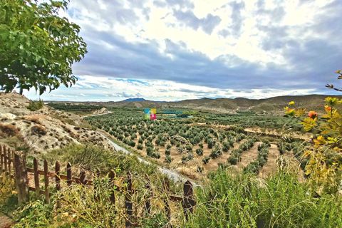 Cave house i Cullar, Granada, Cullar - € 550.000 | Ref: 2463 - foto 4