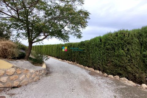 Cave house i Cullar, Granada, Cullar - € 550.000 | Ref: 2463 - foto 49