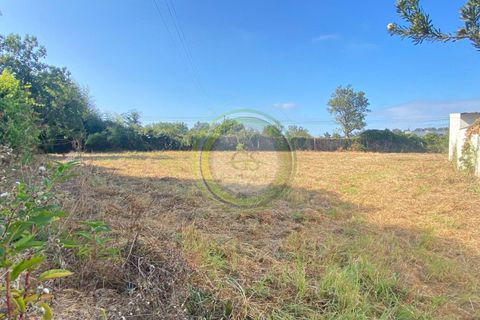 Helårsgrund i Esposende, Braga, Esposende - € 65.000 | Ref: GS1/30072235 - foto 2
