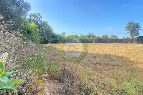 Helårsgrund i Esposende, Braga, Esposende - € 65.000 | Ref: GS1/30072235 - foto 4