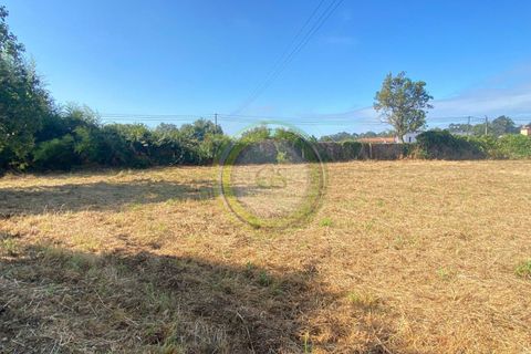 Helårsgrund i Esposende, Braga, Esposende - € 65.000 | Ref: GS1/30072235 - foto 6