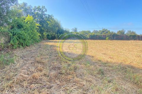 Helårsgrund i Esposende, Braga, Esposende - € 65.000 | Ref: GS1/30072235 - foto 10
