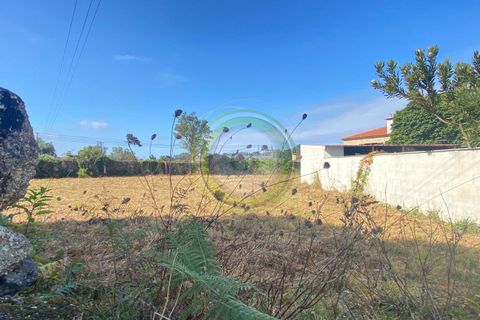 Helårsgrund i Esposende, Braga, Esposende - € 65.000 | Ref: GS1/30072235 - foto 14
