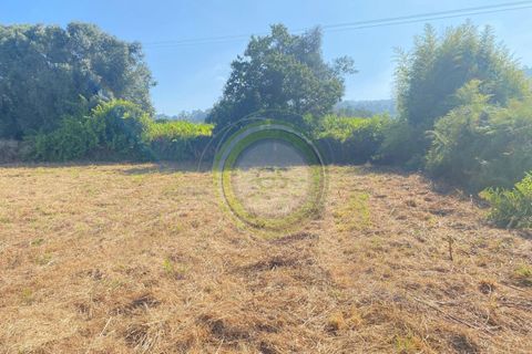 Helårsgrund i Esposende, Braga, Esposende - € 65.000 | Ref: GS1/30072235 - foto 16