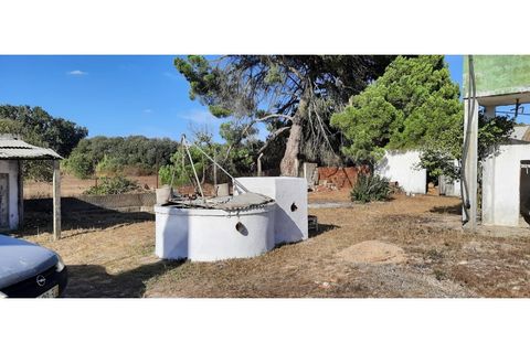 Helårsgrund i Palmela, Setubal, Palmela - € 398.500 | Ref: 2074 - foto 4