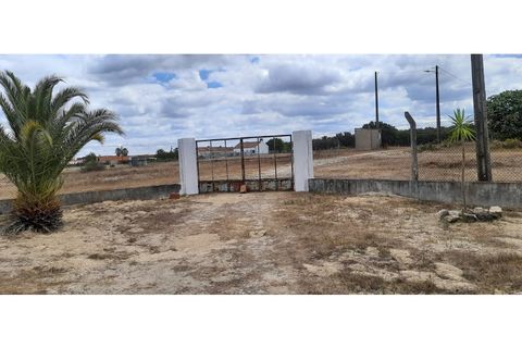 Helårsgrund i Palmela, Setubal, Palmela - € 398.500 | Ref: 2074 - foto 5