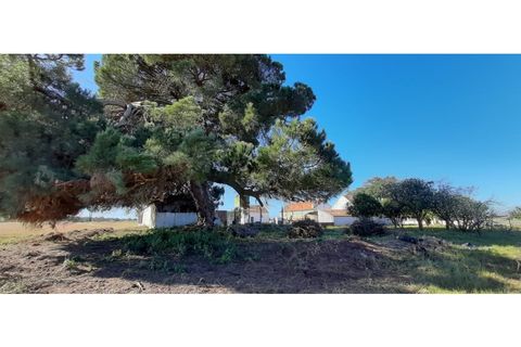 Helårsgrund i Palmela, Setubal, Palmela - € 398.500 | Ref: 2074 - foto 6