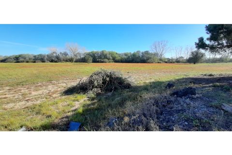 Helårsgrund i Palmela, Setubal, Palmela - € 398.500 | Ref: 2074 - foto 7