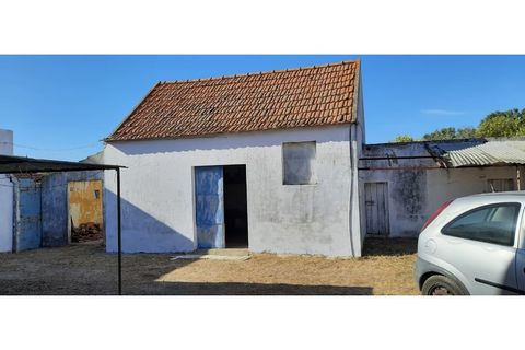 Helårsgrund i Palmela, Setubal, Palmela - € 398.500 | Ref: 2074 - foto 11