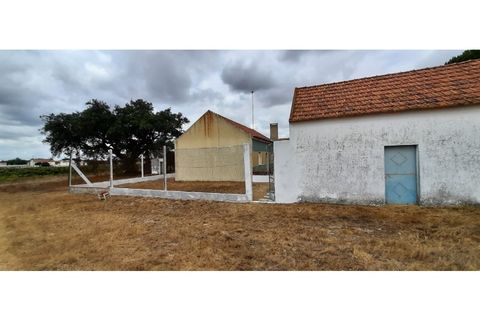 Helårsgrund i Palmela, Setubal, Palmela - € 398.500 | Ref: 2074 - foto 16