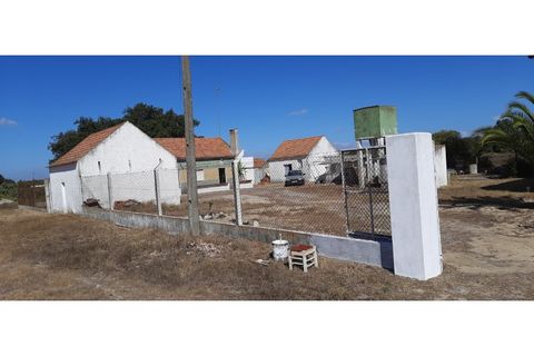 Helårsgrund i Palmela, Setubal, Palmela - € 398.500 | Ref: 2074 - foto 18
