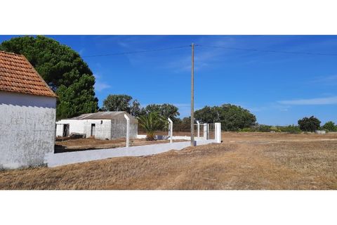 Helårsgrund i Palmela, Setubal, Palmela - € 398.500 | Ref: 2074 - foto 20