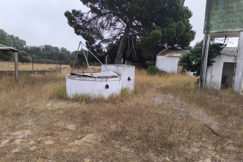 Helårsgrund i Palmela, Setubal, Palmela - € 398.500 | Ref: 2074 - foto 36